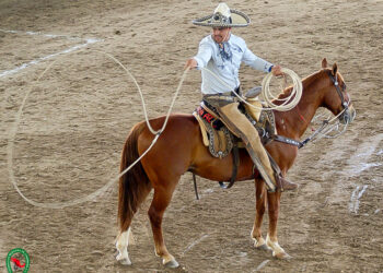 Campeonato Regional Península-Sureste 2026
