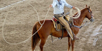 Campeonato Regional Península-Sureste 2026