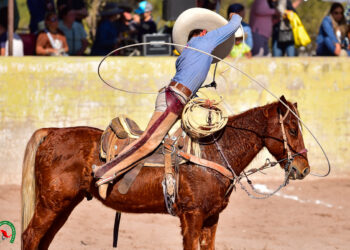 Alta participación en la Consulta Deportiva 2026