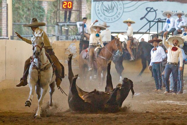 Manuel Esparza abanicando a un toro durante el coleadero por el selectivo juvenil de Aguascalientes, que clasificó a la final