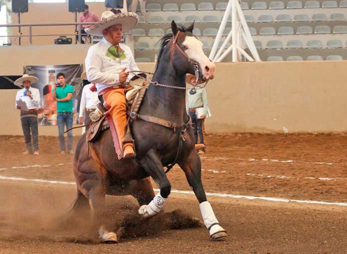 El Gobernador de San Luis Potosí, Ricardo Gallardo Cardona, presentó la cala de caballo de 41 puntos para su equipo RG2