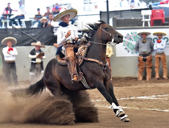 Luis Roberto Villaverde Flores presentó la cala de caballo de 32 unidades para Rancho La Presita