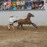 Alonso Ibarra Cortez acertando una mangana a pie para Rancho San Ignacio
