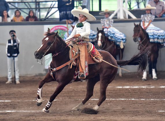 Alfredo Quezada Quezada presentó cala de caballo de 35 unidades para Tres Potrillos de Jalisco