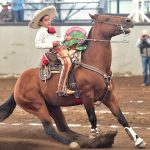 Arturo Arredondo Pérez presentó la mejor cala de caballo de la final para 43 puntos