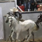 Con este paso de la muerte de Rodrigo Eduardo González aseguró la victoria Rancho El Potrillo en la final Infantil “B”
