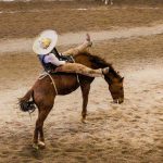 Marcos Padilla pegó esta soberbia jineteada de yegua de 30 puntos para La Colonial RTA