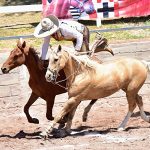 Rancho Santa Inés comanda el estatal poblano con 364 unidades