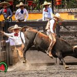 Continúan las actividades el Campeonato Capitalino en el Lienzo Charro del Pedregal
