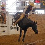 Con mucho valor jineteó Giovanny Ávila a esta poderosa yegua bruta, cosechando 26 tantos para Rancho El Pitayo