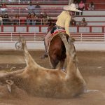 Con 291 puntos, Montaña Negra se mantiene en la pelea y aspira a clasificar a semifinales