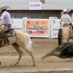 Andrés Correa y Anastasio Silva consumaron la terna en el ruedo de Charro1Wear