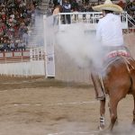 Un pial en el lienzo de 21 unidades agarró Orlando Antuñano por Rancho El Quevedeño