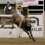 Jineteadón de toro que pegó Iván Ocegueda de Charros de Morelia "Oro"