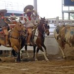 Rafael Valenzuela Peña acertando el lazo cabecero de 23 unidas, único que contó durante la terna de Rancho El Salitre “Hermanos Valenzuela”