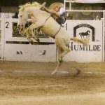 Soberbia jineteada de yegua que pegó Martín Sánchez, cobrando 31 unidades para los Tamaulipecos