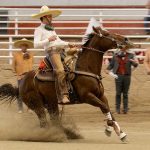 Miguel Ibarra Sánchez abrió la cuenta de Rancho El Quevedeño con cala de caballo de 39 unidades