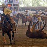 Rancho El Secreto “Tequila Campo Azul” coleó fortísimo, con cuatro redondas y cinco medias derechas, para sumar 113 unidades en esta suerte