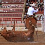 Álvaro León abanicando a su toro, aportando unidades en el coleadero para Rancho Las Cuatas