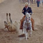 Las actividades de la Zona Sur de Jalisco se celebraron en Tamazula de Gordiano