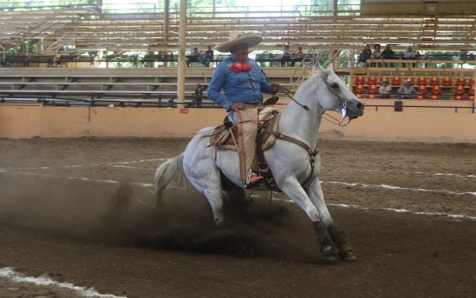 Enrique Morales presentó esta cala de caballo de 29 puntos por su equipo, Enrique Morales Velarde