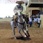 Carlos Maurer Espinoza de Hacienda Tamariz logró 38 unidades en la suerte de la cala de caballo