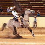 Alfredo Quezada presentó la cala de caballo de 35 unidades para Montaña Negra
