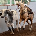 Los Bravos de Azuela “El Laurel” se llevaron el segundo compromiso y lideran la tabla de Dientes de Leche