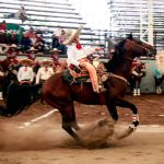 Esta semana en el lienzo “Hermoso Cariño” se disputan las eliminatorias de la categoría Dientes de Leche