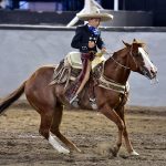 La cala de caballo de Potrillitos RG2 fue completada por Luis Raúl Márquez Solórzano para 18 unidades
