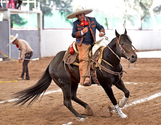 Asaf Tadeo González Islas presentó la cala de caballo de 37 buenos para Rancho Vista Hermosa