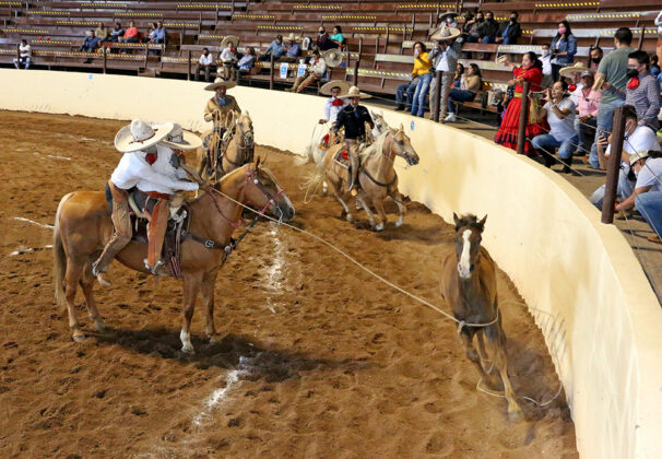 Emocionantes las manganas a caballo que presentó David Santillán Mexquitic, del equipo Charros 21