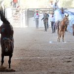 Juan Luis Blanco Jara cuajó este pial en el lienzo de 18 puntos para Hacienda Tierra Blanca