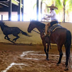 José Antonio Salcedo Aceves acertando el pial en el lienzo para Rancho El Pitayo "A"