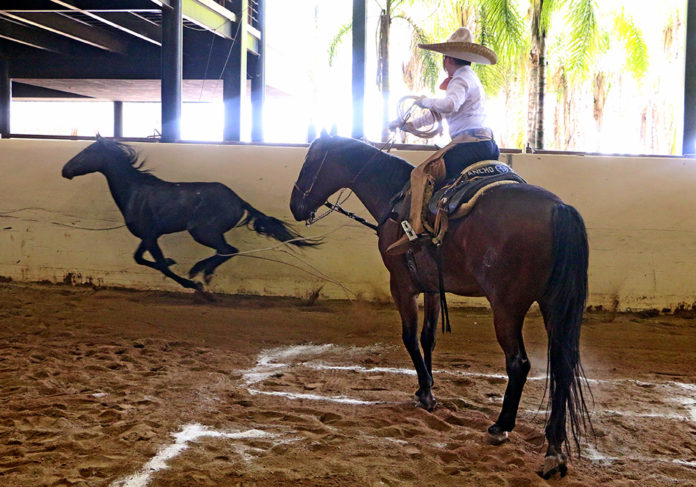José Antonio Salcedo Aceves acertando el pial en el lienzo para Rancho El Pitayo 