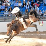 Espectacular jineteada de yegua que pegó Artemio Hernández Rodríguez, cosechando 28 unidades para los Treinta Caballeros de Veracruz