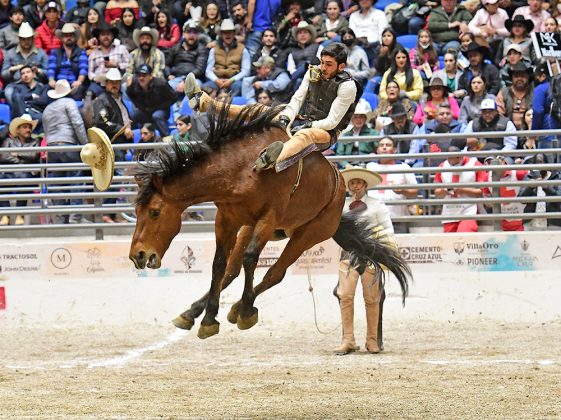 También fue espectacular la jineteada de yegua que pegó José Martín Sánchez Gutiérrez, cosechando 33 puntos para los Tamaulipecos de Reynosa
