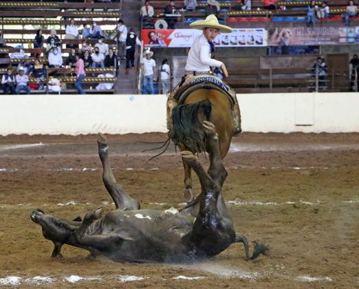 Luis Alfonso Franco Jiménez abanicando a su toro en su segunda oportunidad de colas