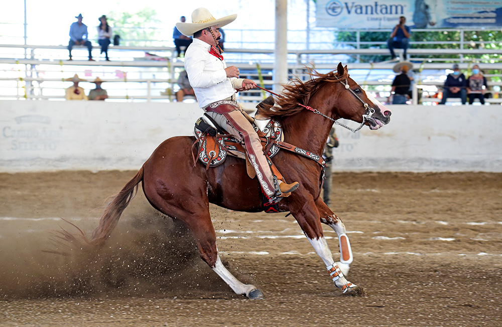 Muy buena fue esta cala de caballo de Alfredo Quezada Rubio, de Carlos Sánchez Llaguno "B", calificada con 42 puntos
