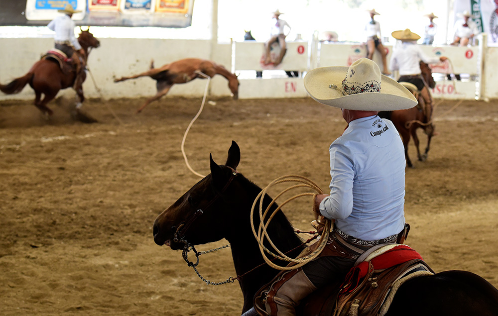 Juan Zermeño Torres derribando una mangana a caballo para Santa Cruz del Valle de Jalisco