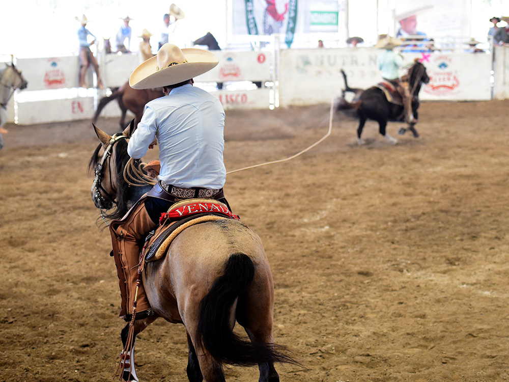 Juventino Parra en la única mangana a caballo que cuajó para Rancho Las Cuatas