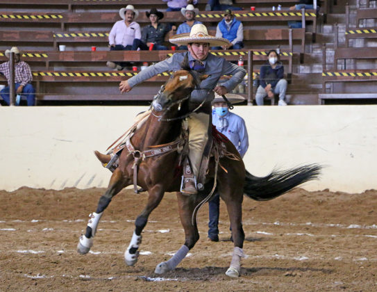 Bulmaro Erick Leal Villeda ejecutando un medio lado, durante la cala de caballo de Rancho Los Nogales