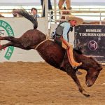 Extraordinaria jineteada de yegua que pegó Raúl Ochoa Ramírez, de Hacienda Tamariz, consiguiendo 32 unidades