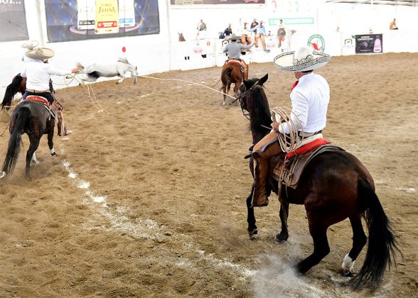 Ernesto Zepeda Fonseca derribó con fuerza sus tres manganas a caballo para los Charros del Noroeste