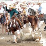 Jorge Quiñones Chávez de California fue el mejor en la suerte de colas de la competencia matutina con 43 puntos acumulados