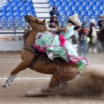 Las Coronelas JV de Progreso de Obregón arañaron la línea de las tres centenas de unidades en su labor