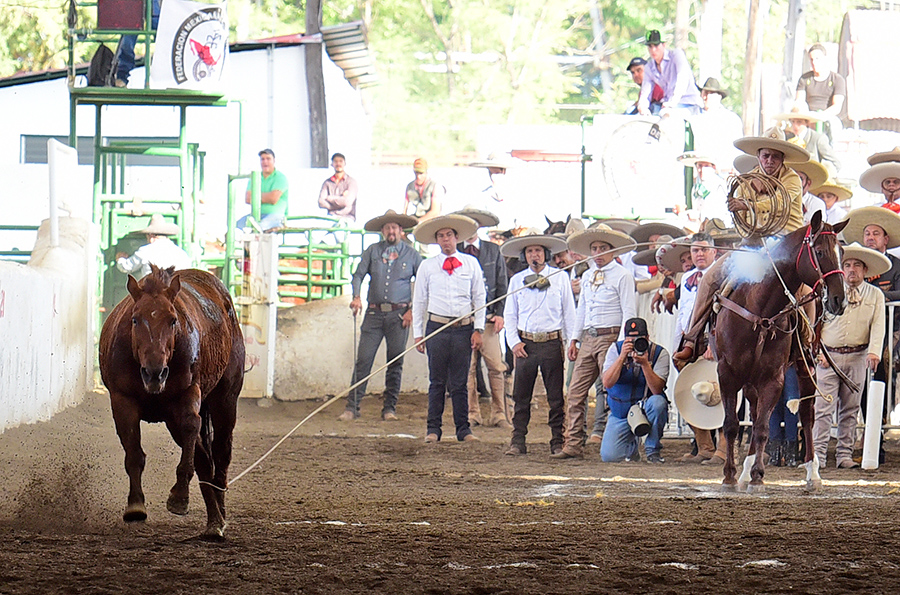 Guillermo Bustamante cuajó este pial de 19 unidades para los Regionales de Texcoco "B"
