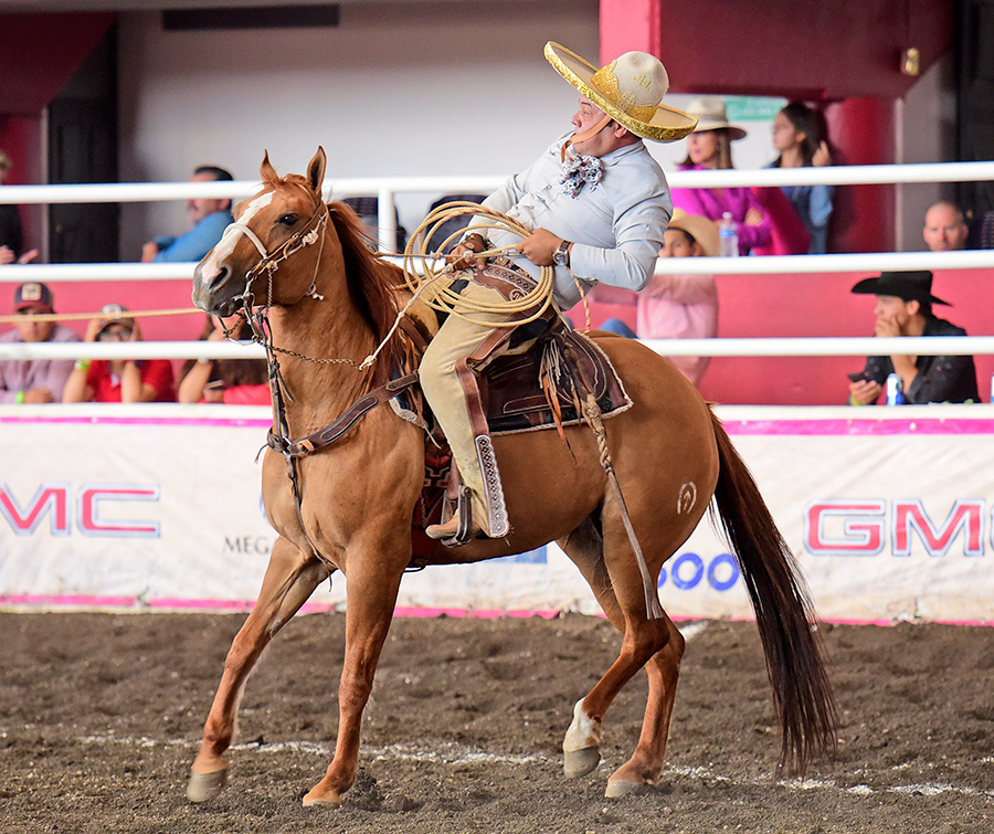 Dos manganas a caballo acertó Humberto Treviño por los Tamaulipecos de Reynosa