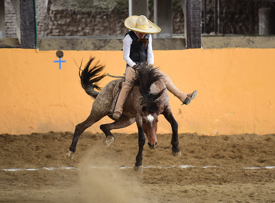 Francisco Torres se jugó el físico ante esta poderosa yegua, logrando 28 unidades por los Charros de Jalisco