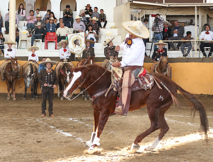 Ricardo Delgado presentó la cala de caballo de 33 unidades por la Capilla de Guadalupe